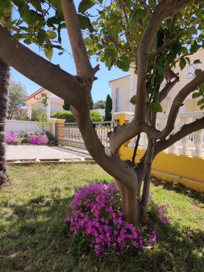 Apartman Car Вир Екстериор снимка